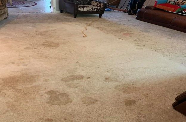 A living room with a dirty carpet and stains on it.
