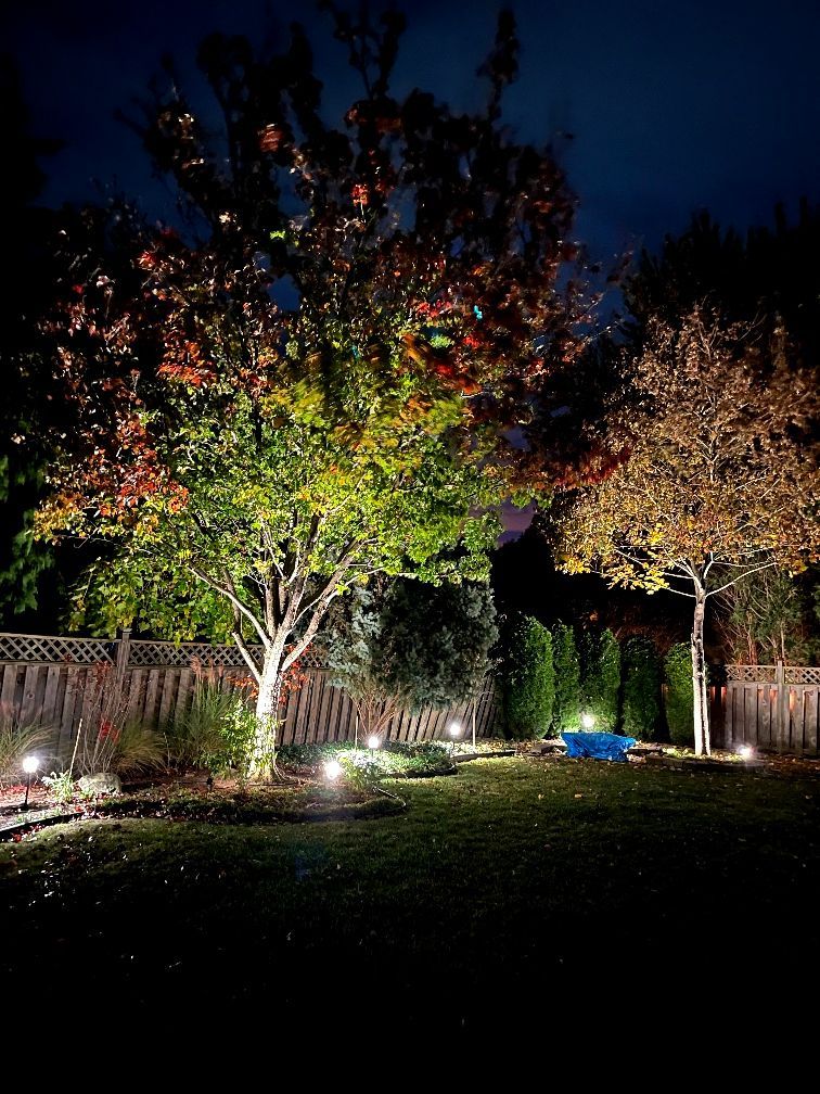 A backyard with trees and a fence lit up at night.