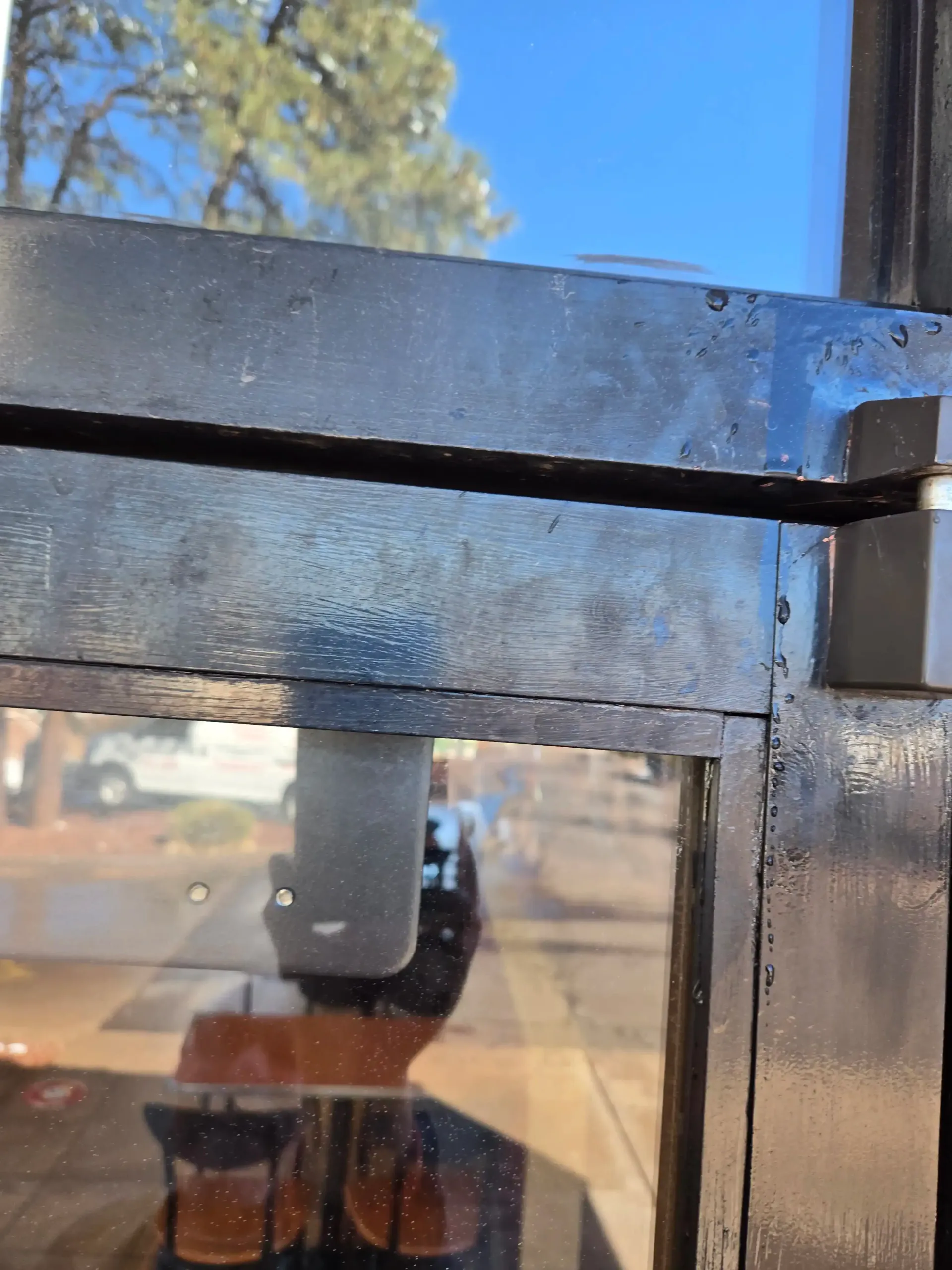Close-up of a black metal window frame with a street reflection and a tree visible outside