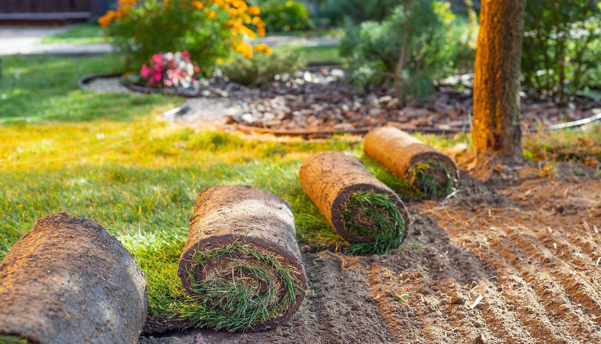 Three rolls of turf are sitting on top of a pile of dirt in a garden.