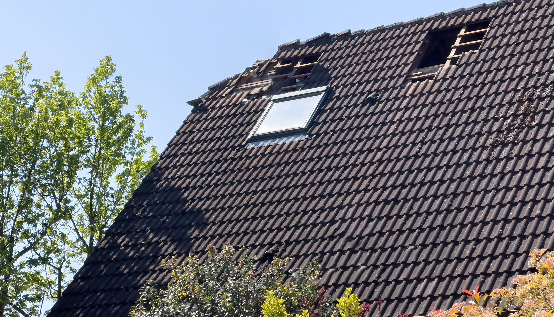 A roof with a skylight and trees in the background