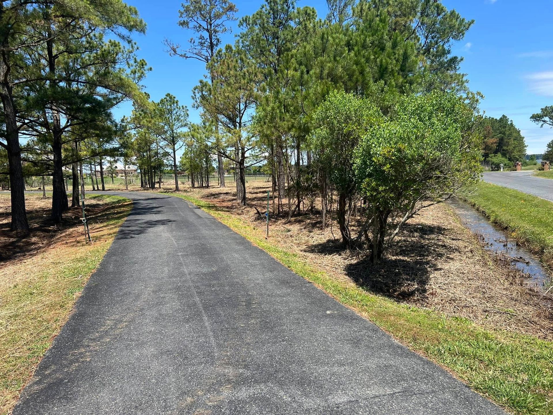 Paved path through a wooded area with trees and grass, blue sky.
