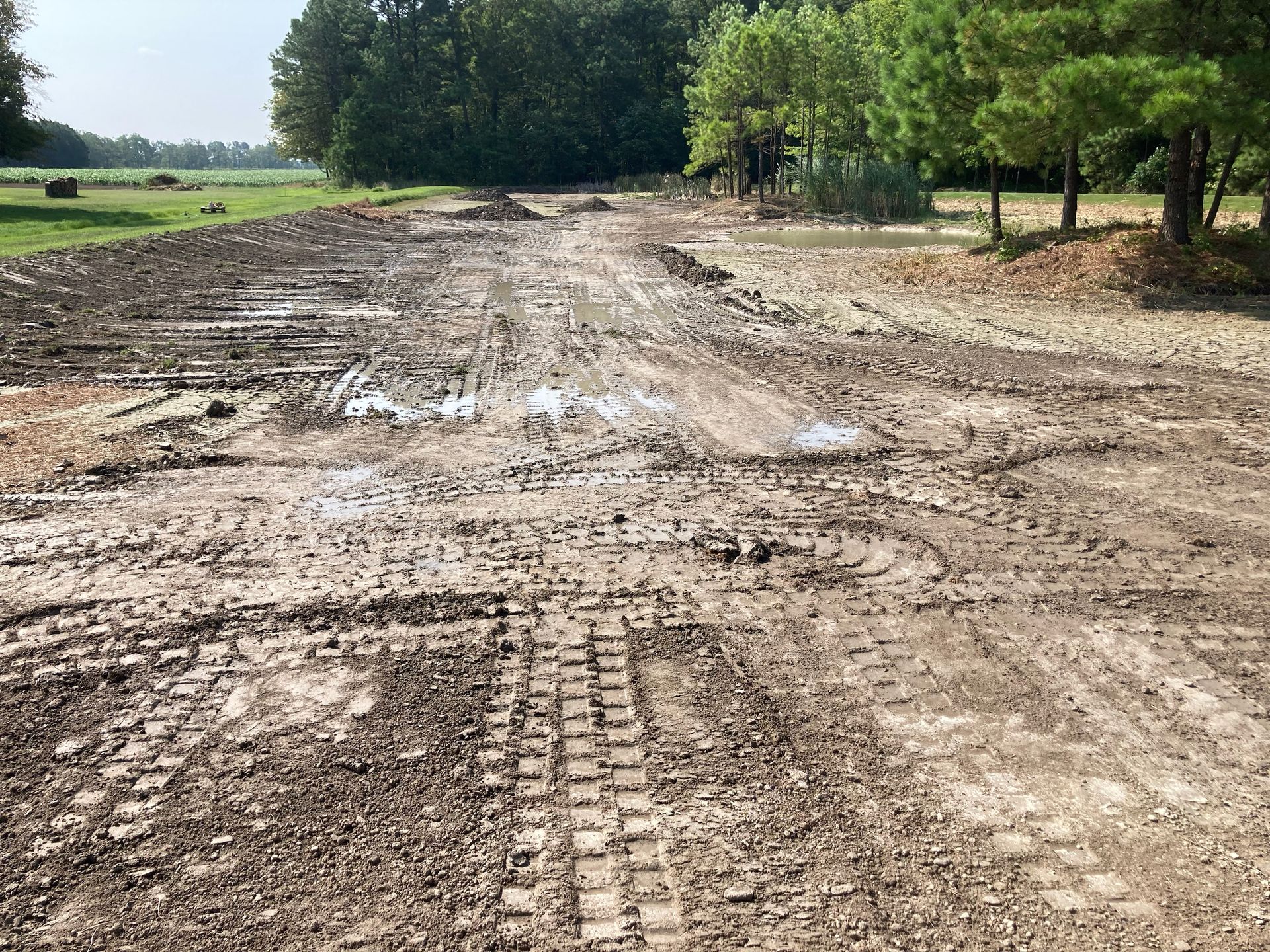 Muddy dirt road with tire tracks, trees in the background.