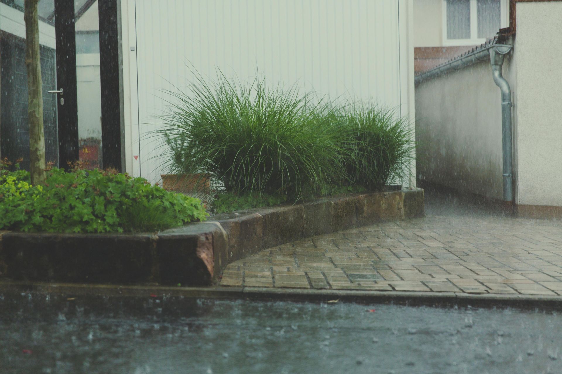 Rain falling on a wet driveway beside a white house and green shrubs.