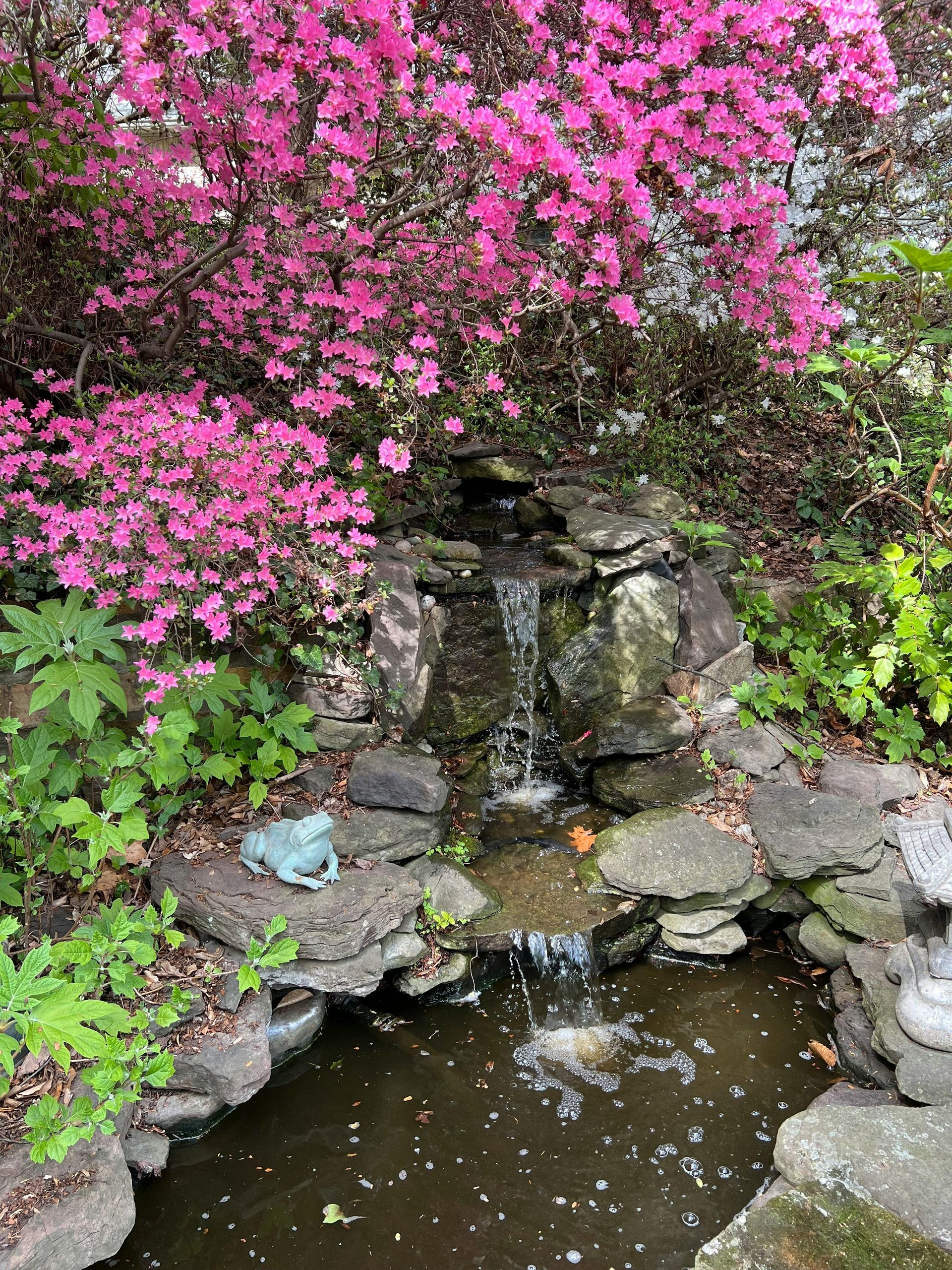 Pink flowers cascading over a small rocky garden waterfall into a pond
