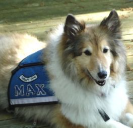 Our 