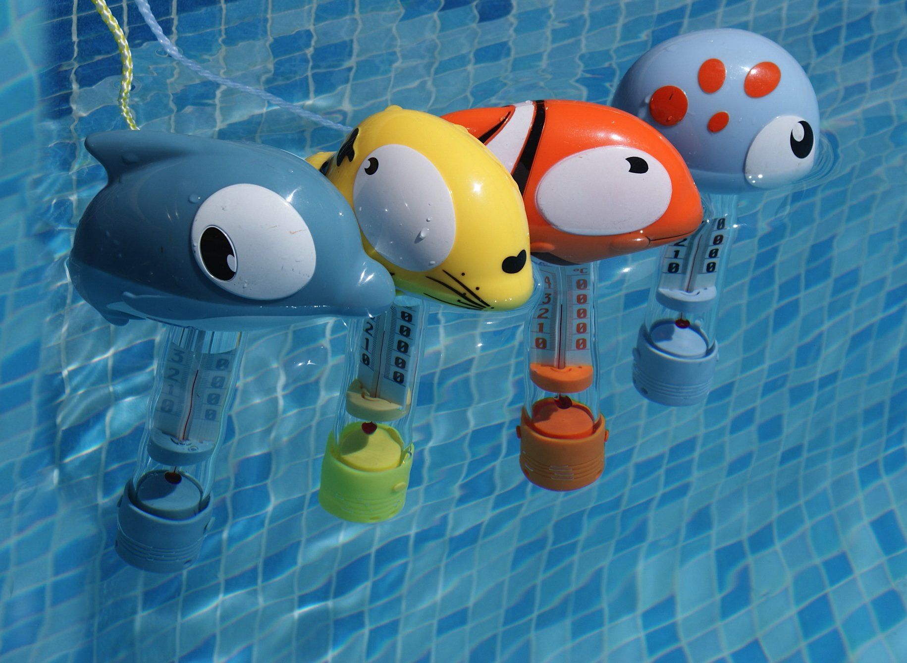 Termometro galleggiante per piscina con pesce Mini