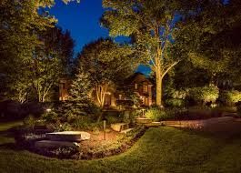 A backyard with trees and bushes lit up at night.