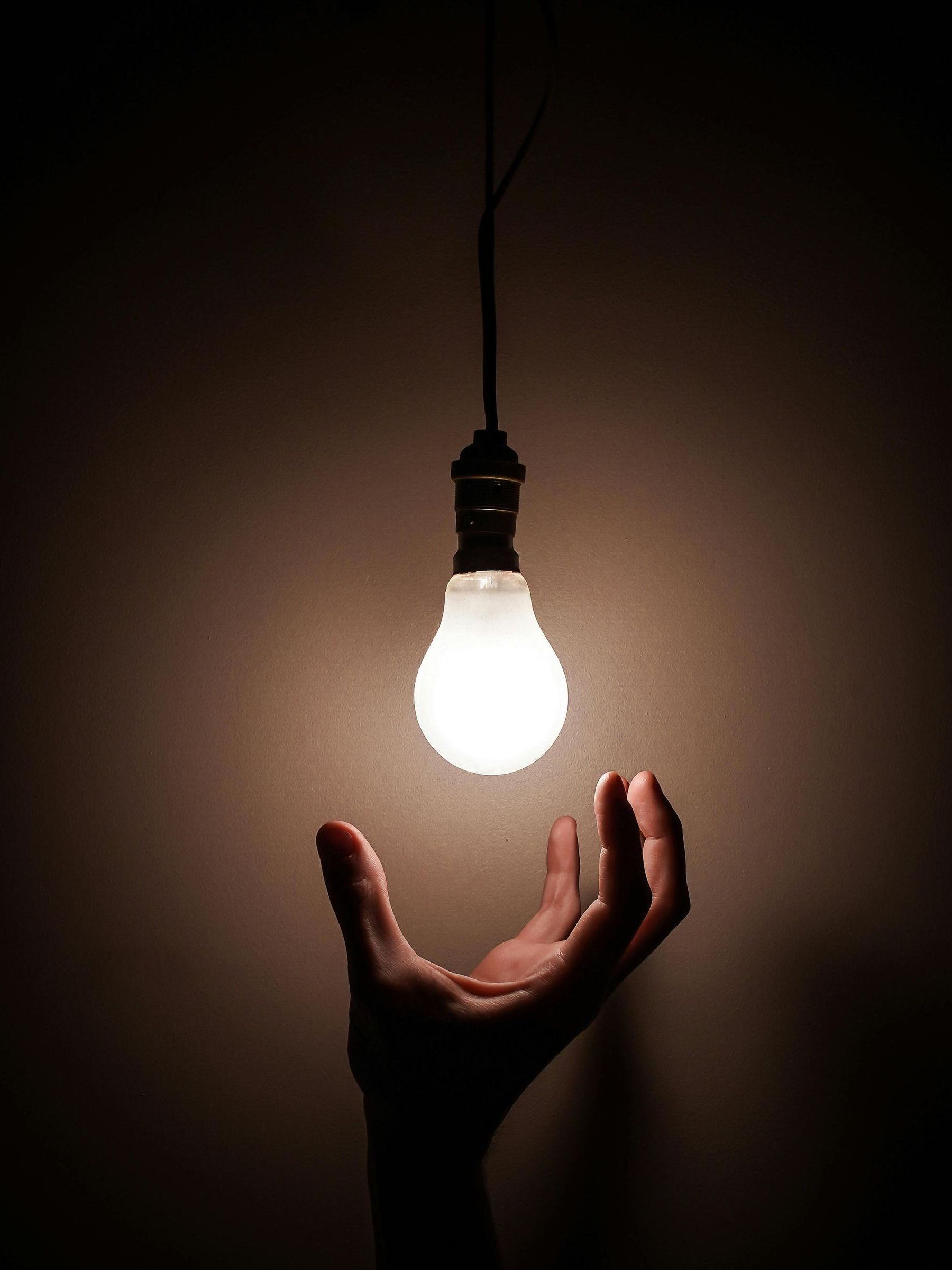 A person is holding a light bulb in their hand.