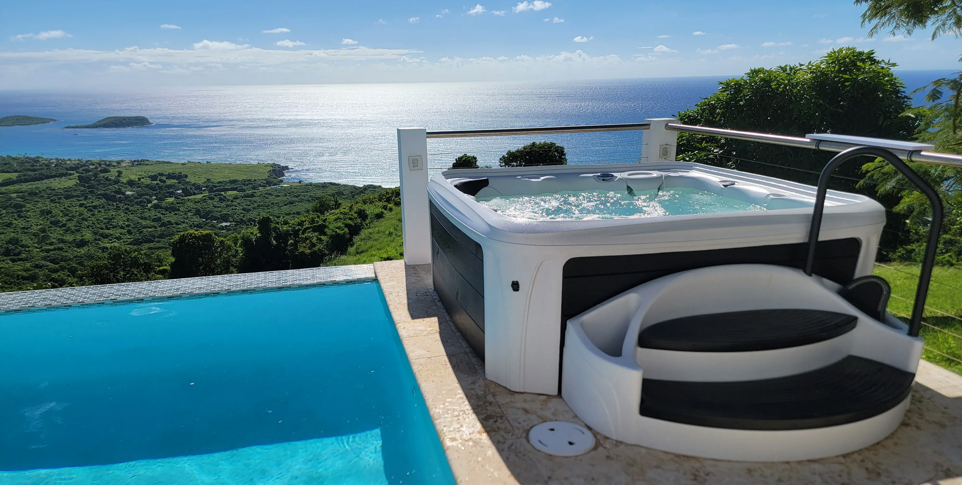 Hot tub next to a pool with steps, palm tree, and rocks.