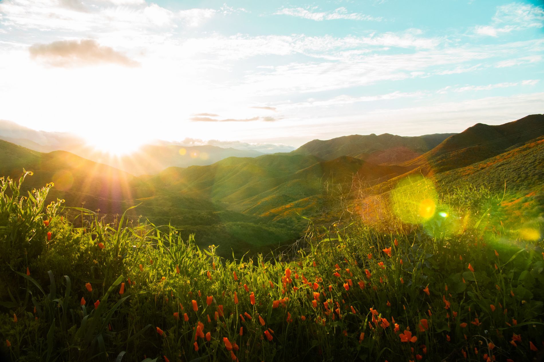 pratiche per il decesso