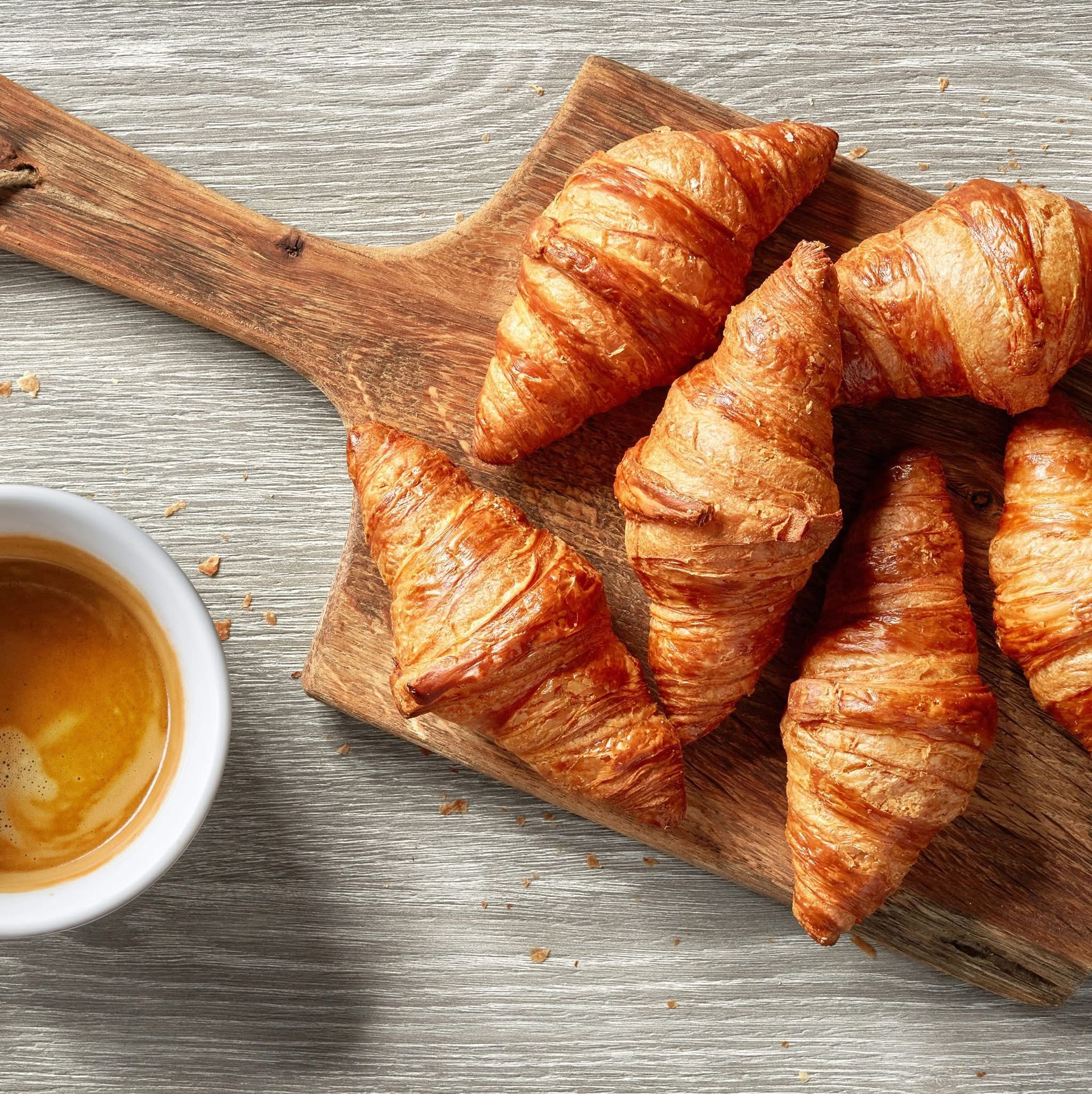 distribuzione al dettaglio e all'ingrosso new prokass