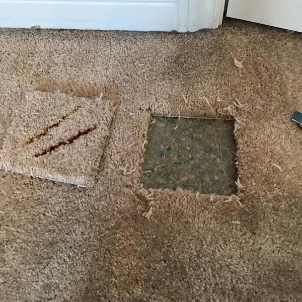 Carpet Stretching Repair in Knoxville, TN