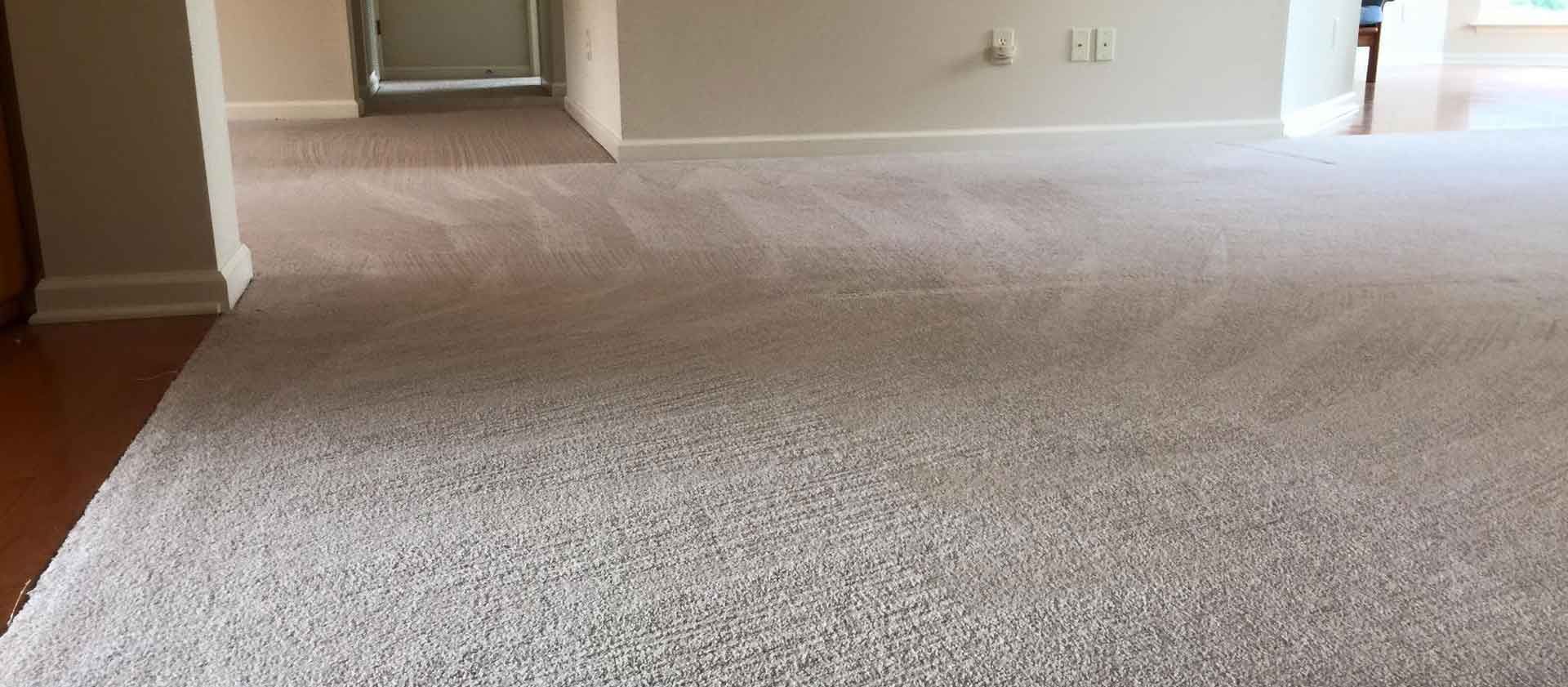 Commercial Carpet Cleaning in Fountain City, TN