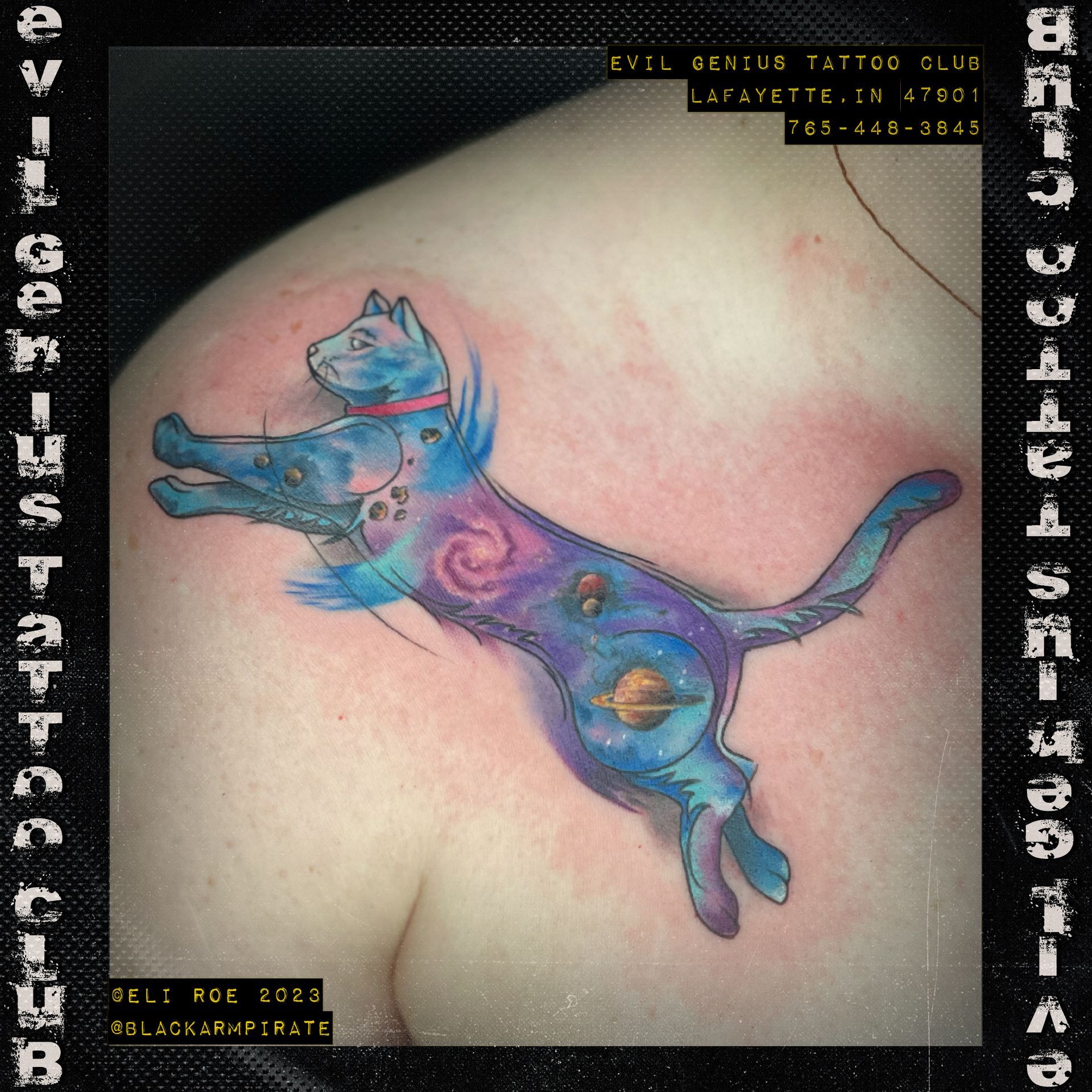 watercolor galaxy cat tattoo by Eli Roe