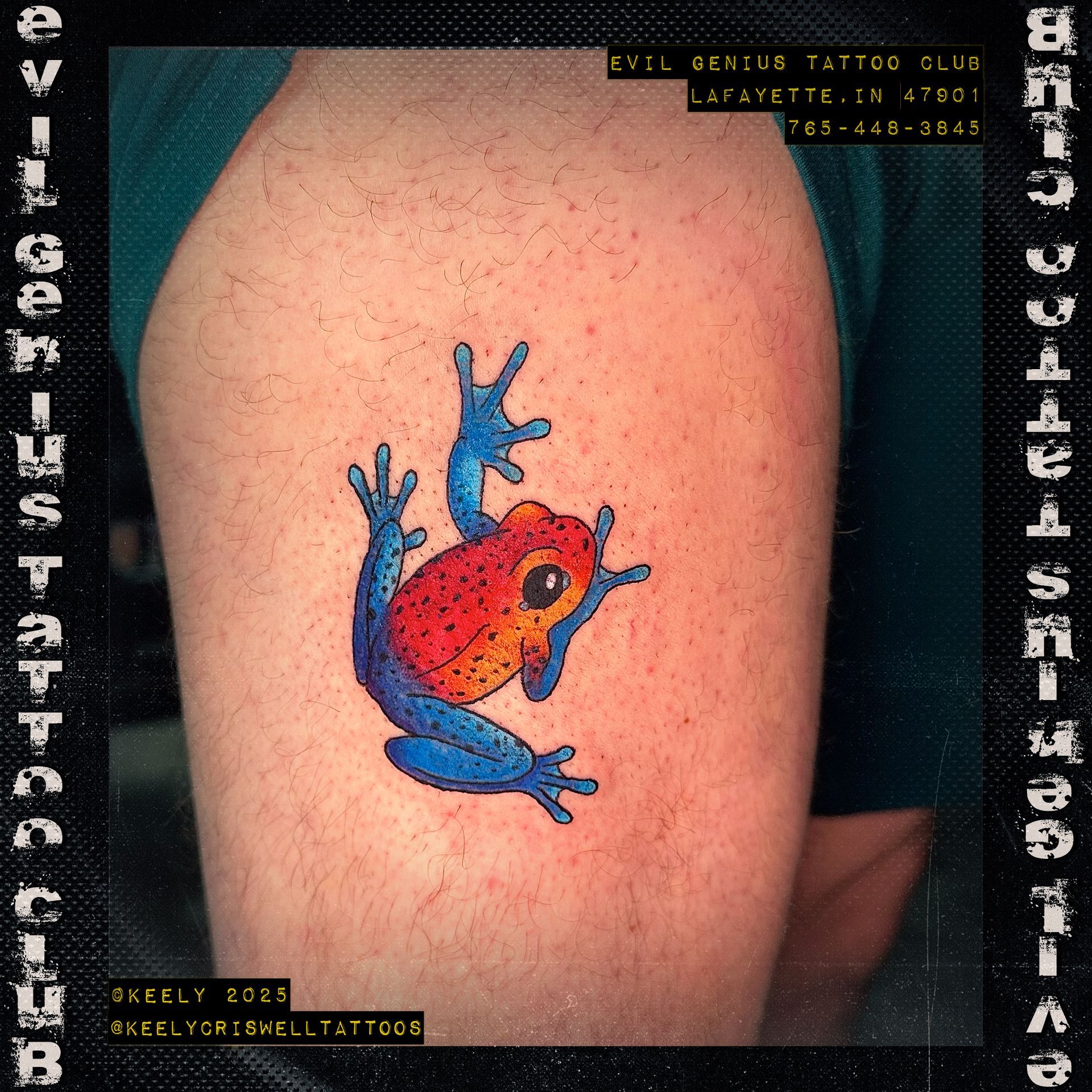 Colorful frog tattoo by Keely Criswell