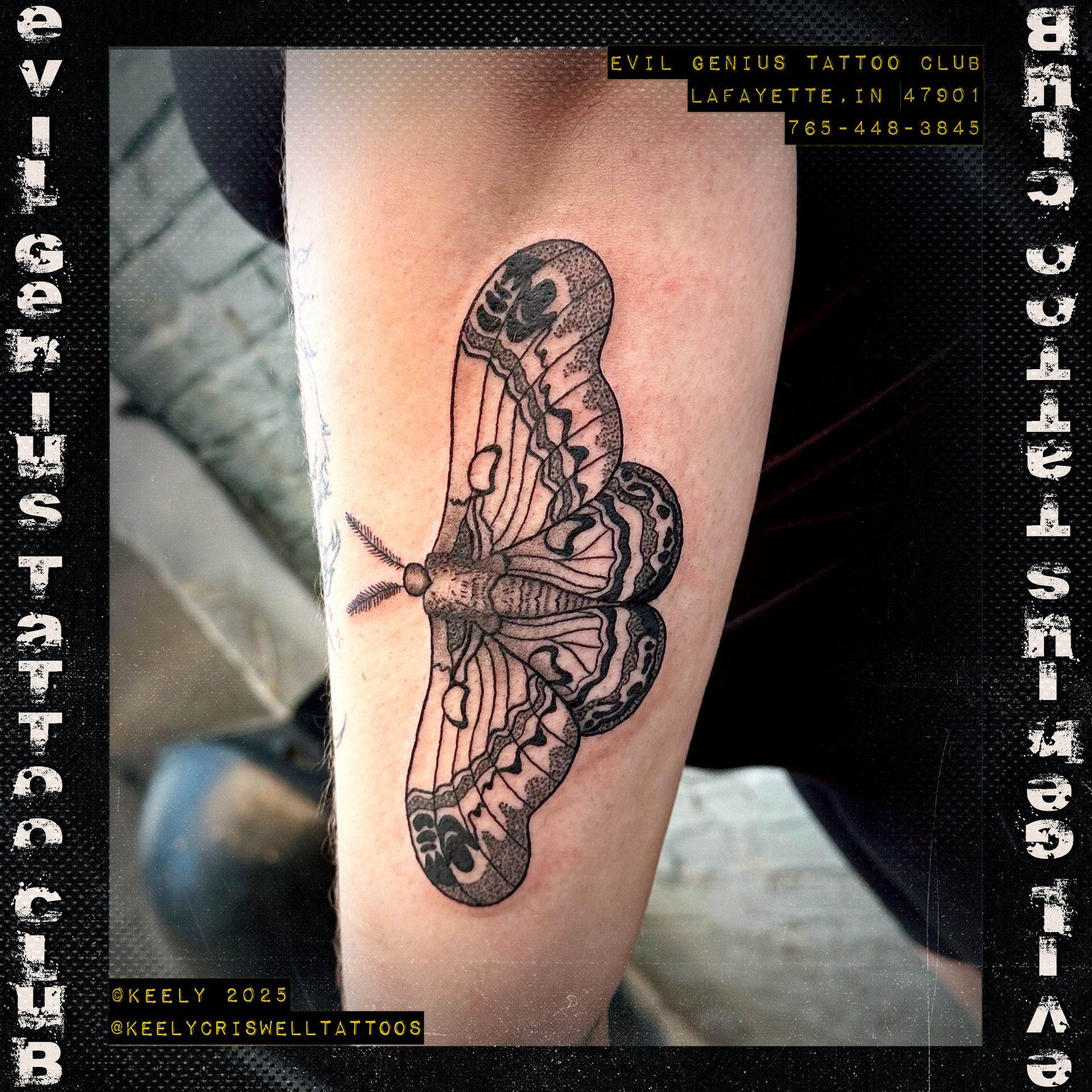 Black and white moth tattoo by Keely Criswell.