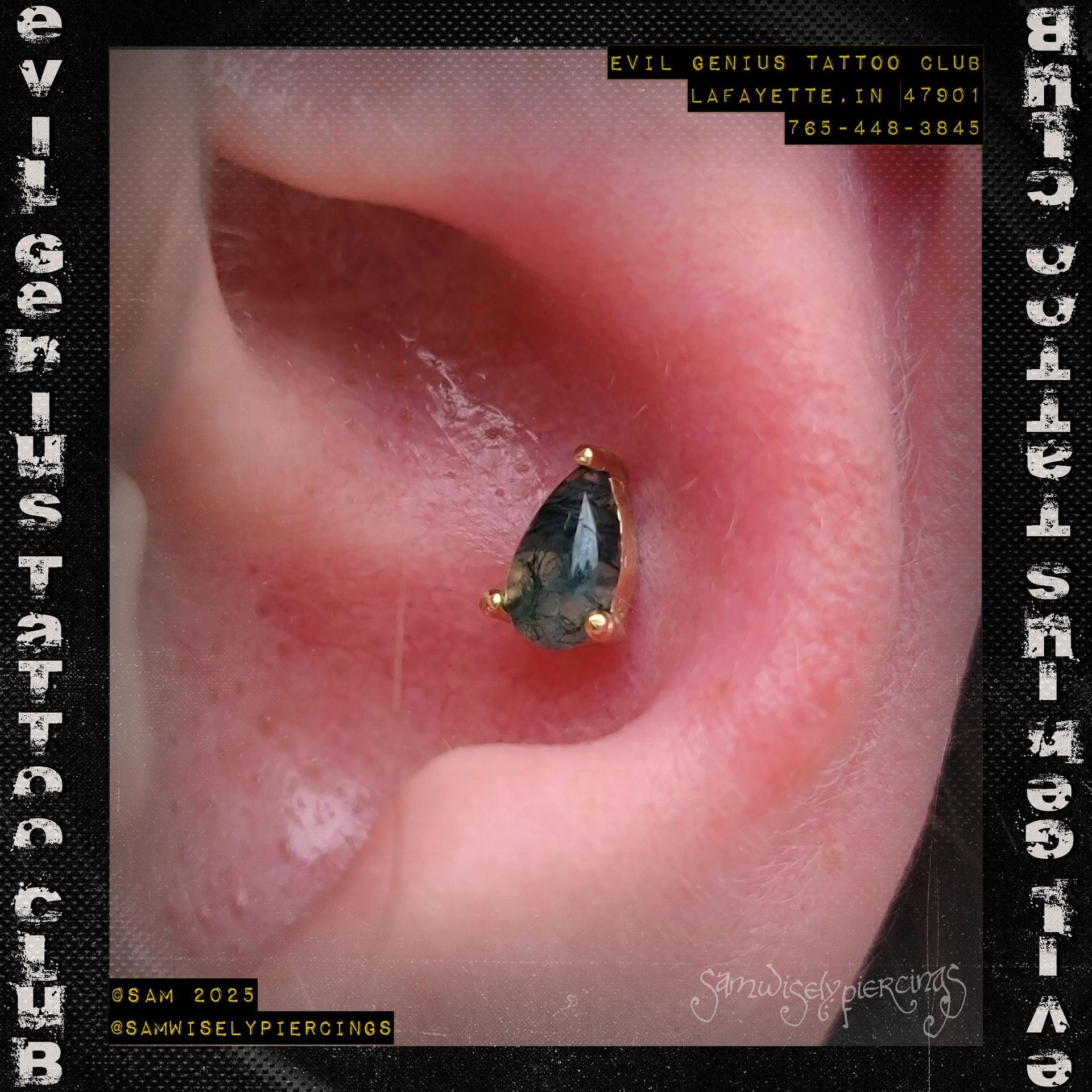 Close-up of a pierced conch, performed by Sam. 