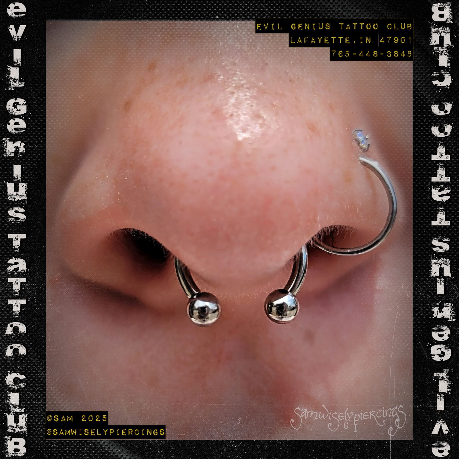 Close-up of a nose with a septum and nostril piercing performed by Sam.