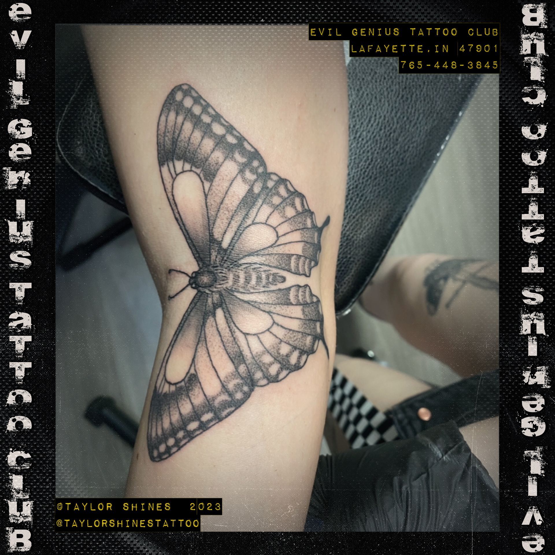 Taylor Shines Moth tattoo