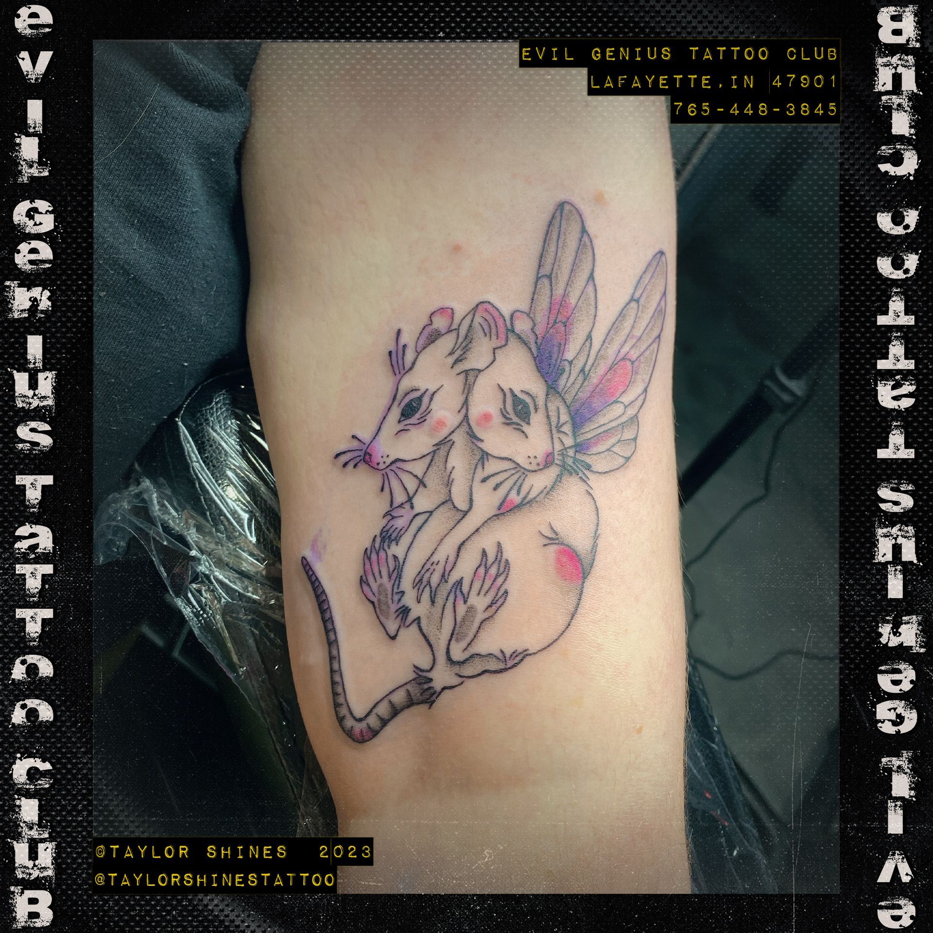 A tattoo of conjoined mice with fairy wings is on a person 's arm done by Taylor Shines.