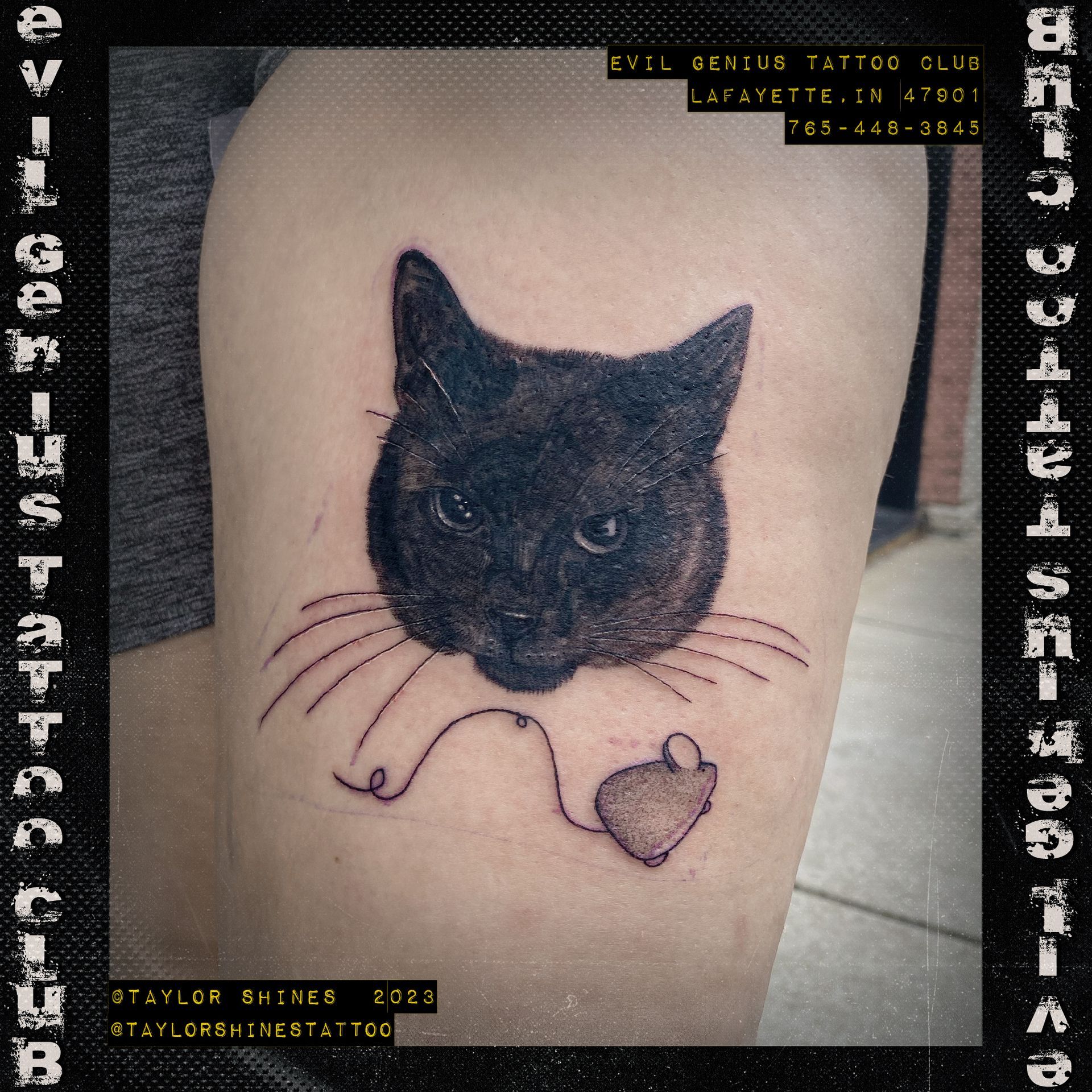 A tattoo of a black cat with a mouse toy near its mouth done by Taylor Shines