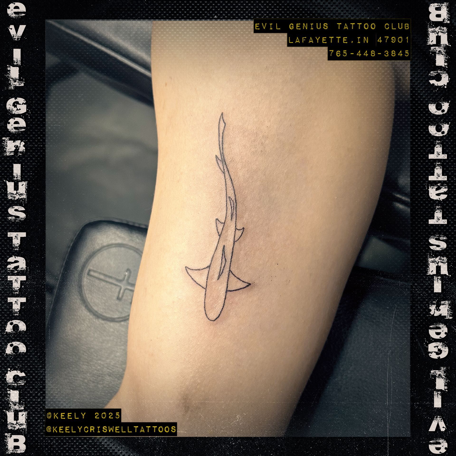 Fine Line Shark Tattoo by Keely Criswell