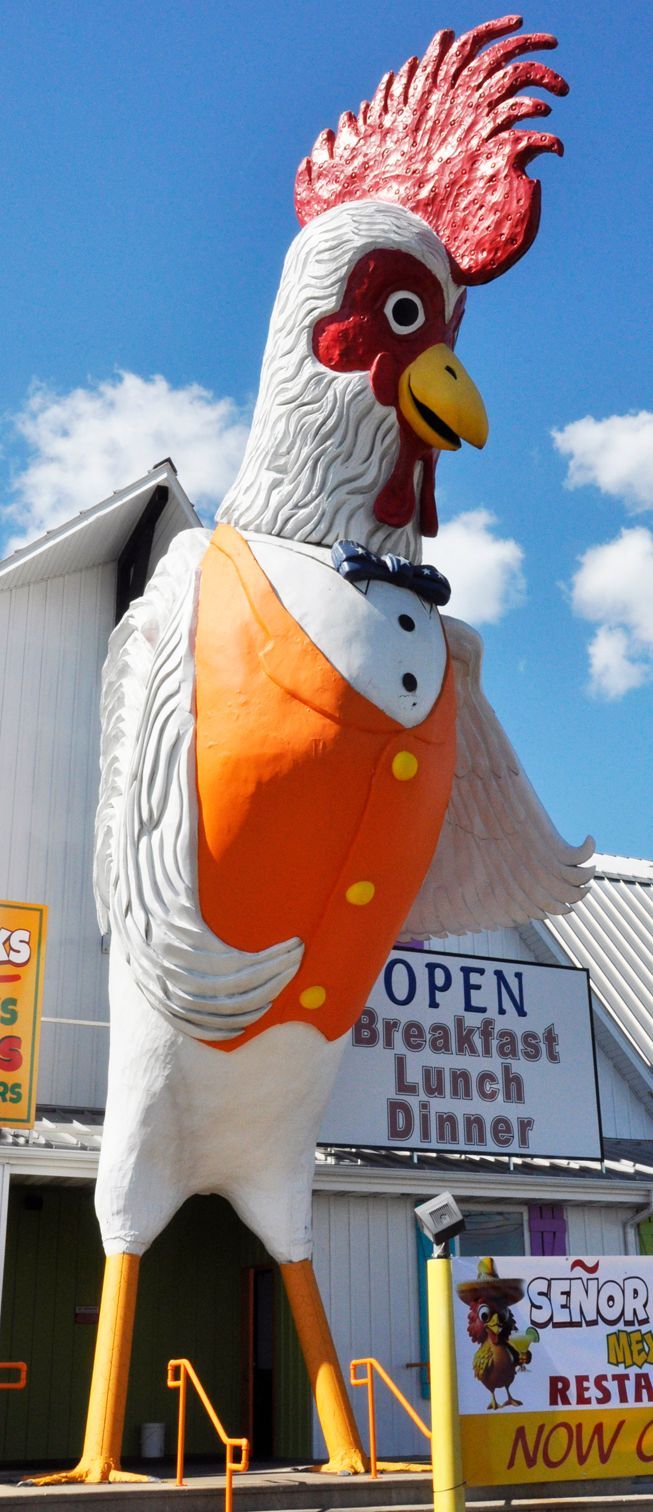 A giant rooster statue wearing a tuxedo vest outside a restaurant that is open for breakfast, lunch, and dinner.