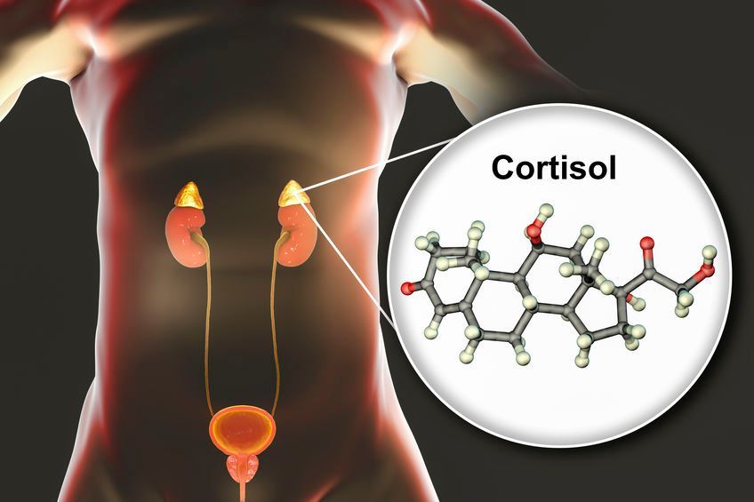 CORTISOL