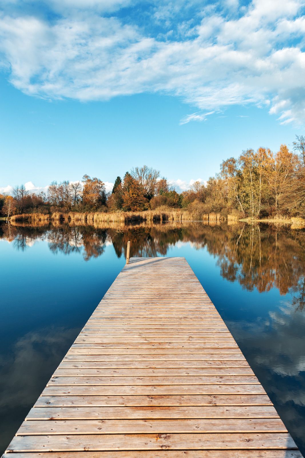 A wooden dock leading into a lake with trees in the background.