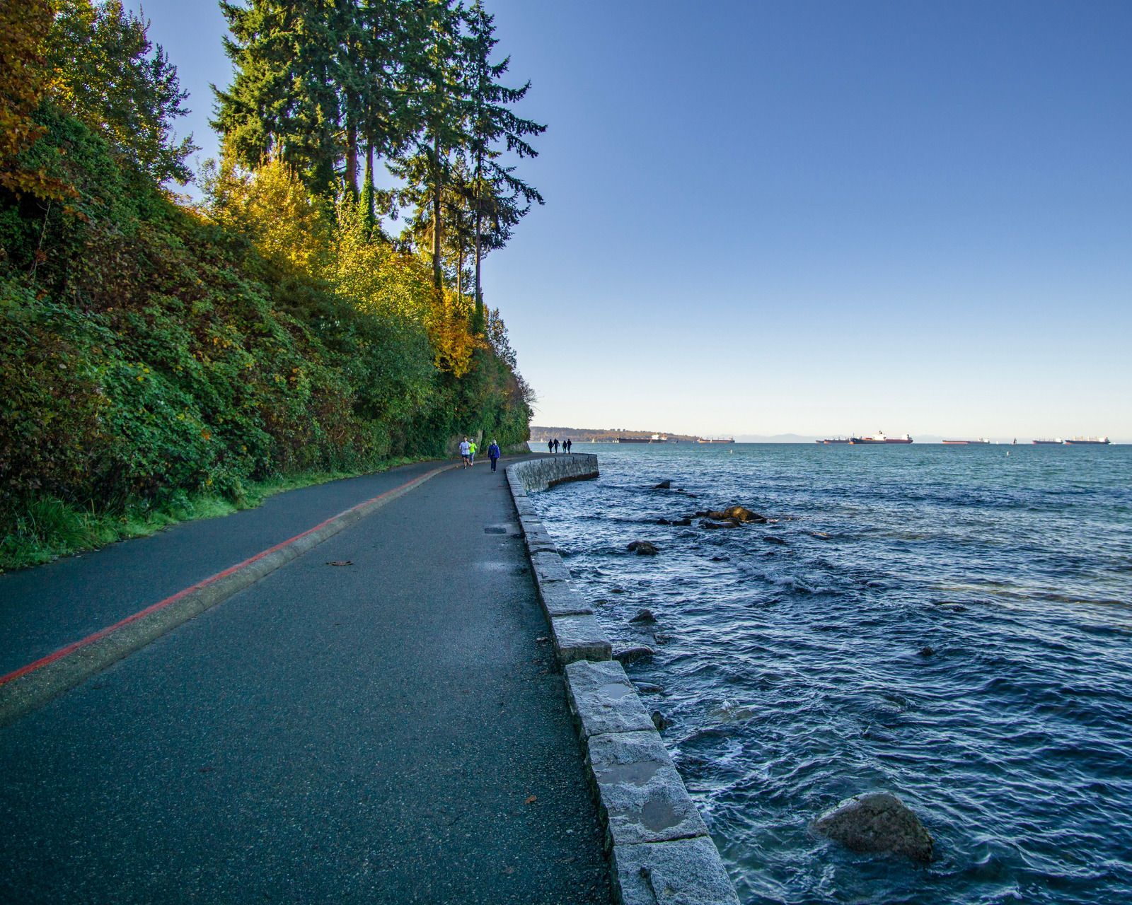 A person walking down a path next to a body of water