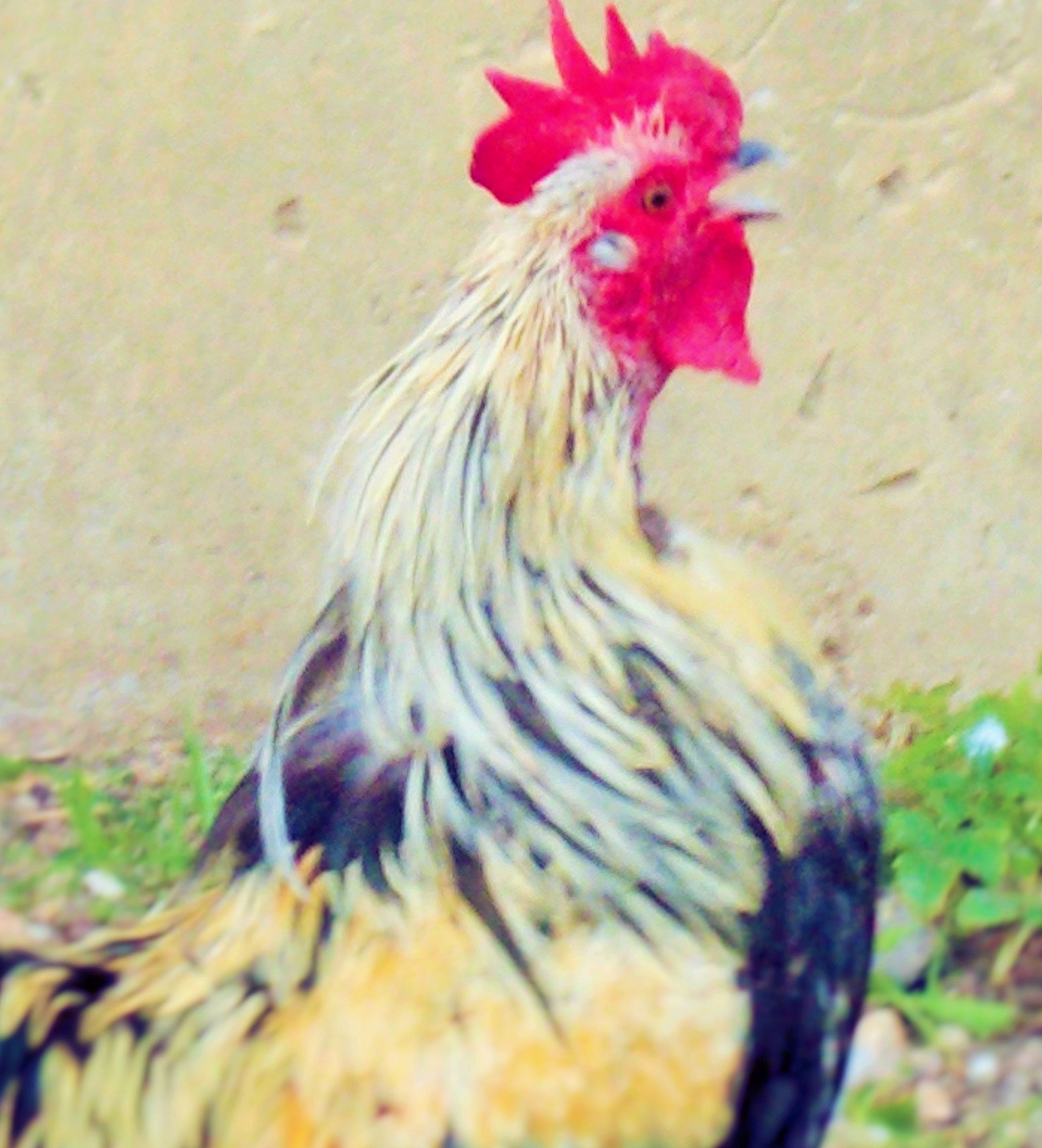 Märchenklassiker anders gesehen