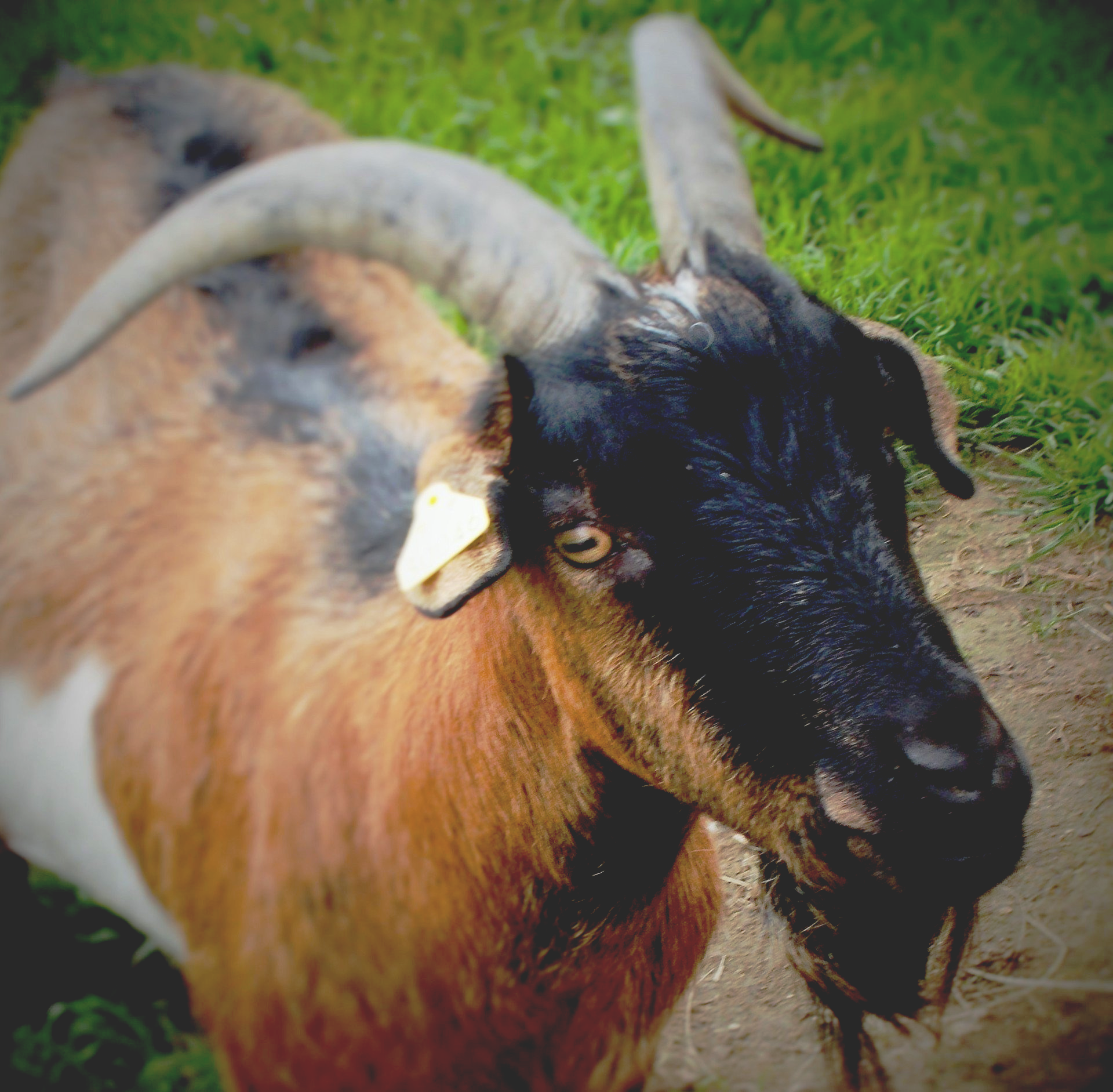 Märchenklassiker anders gesehen