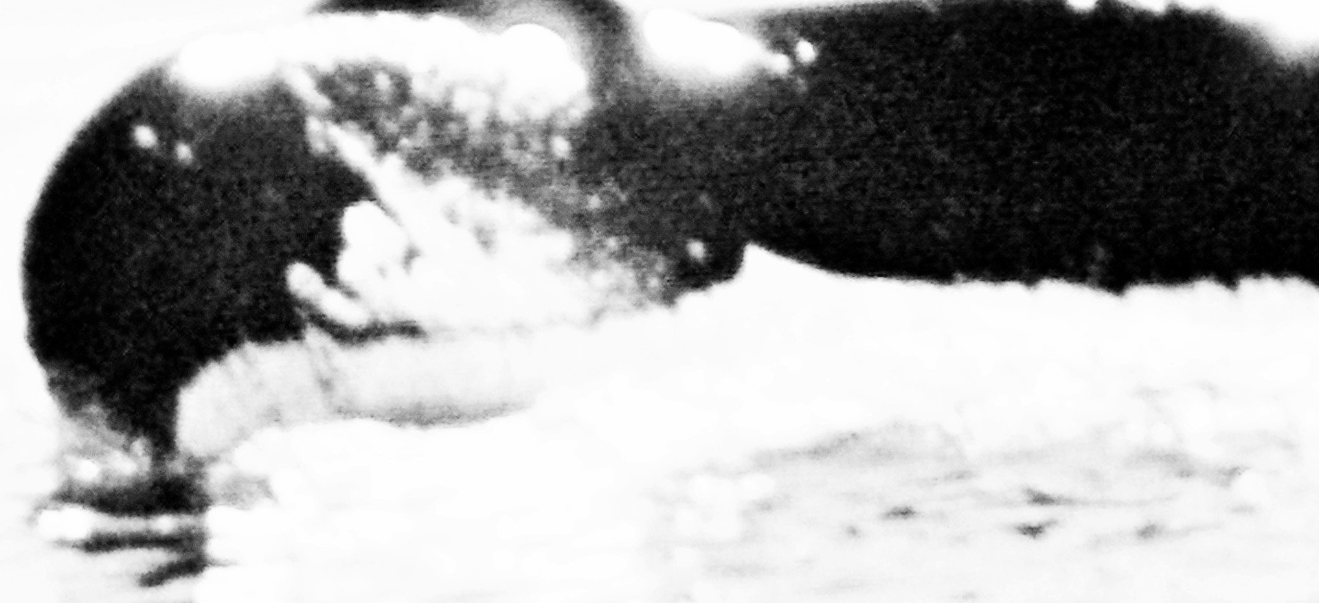 Die Weisen der Meere