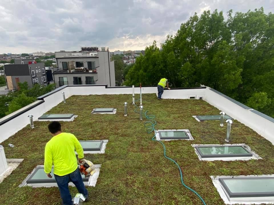 Two men are working on a green roof with skylights.