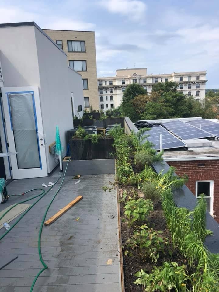 A rooftop garden with a hose attached to it and a building in the background.