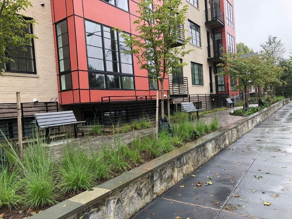 A sidewalk next to a building with a lot of bushes on it.