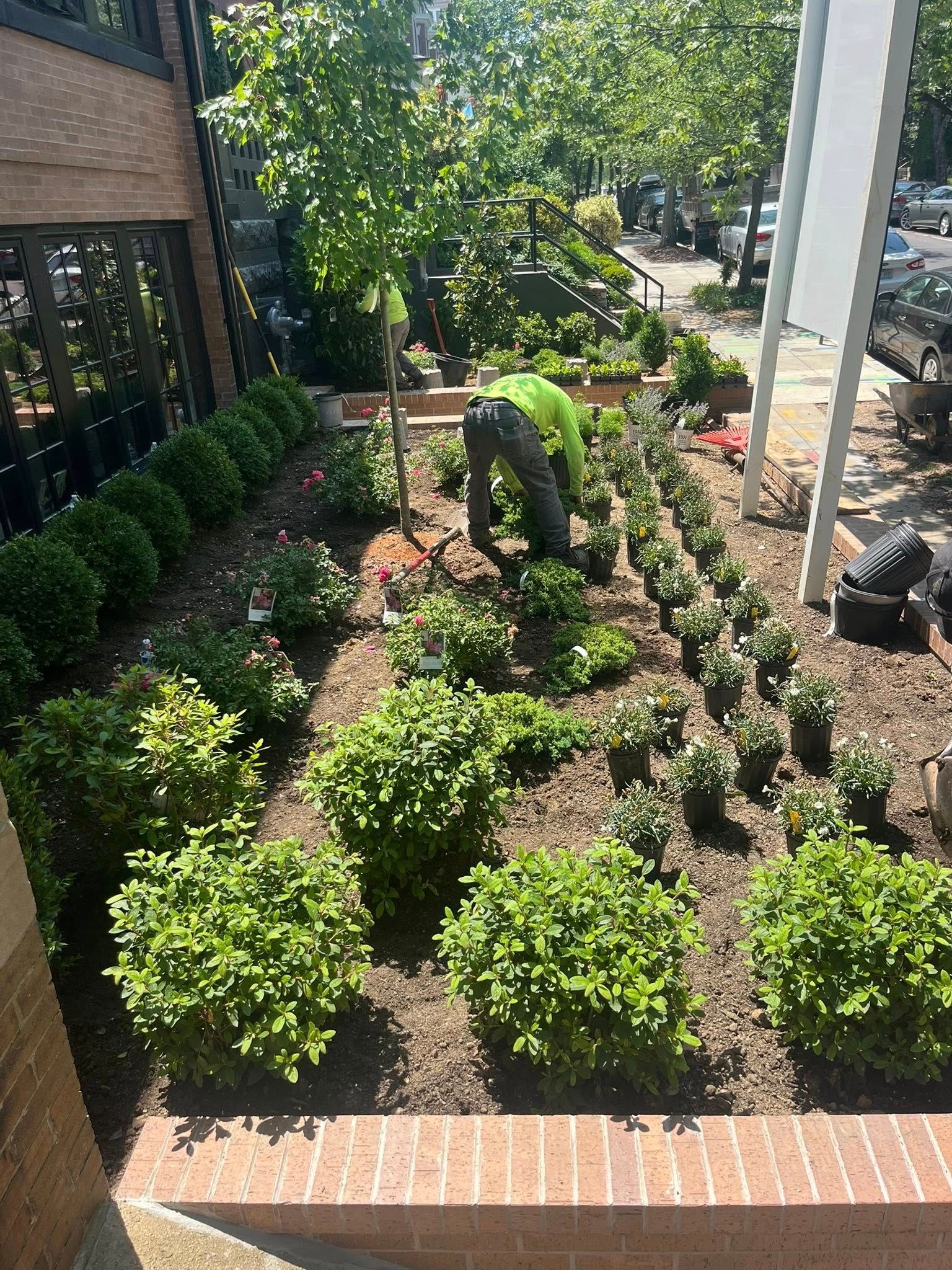 A man is working in a garden with lots of plants.
