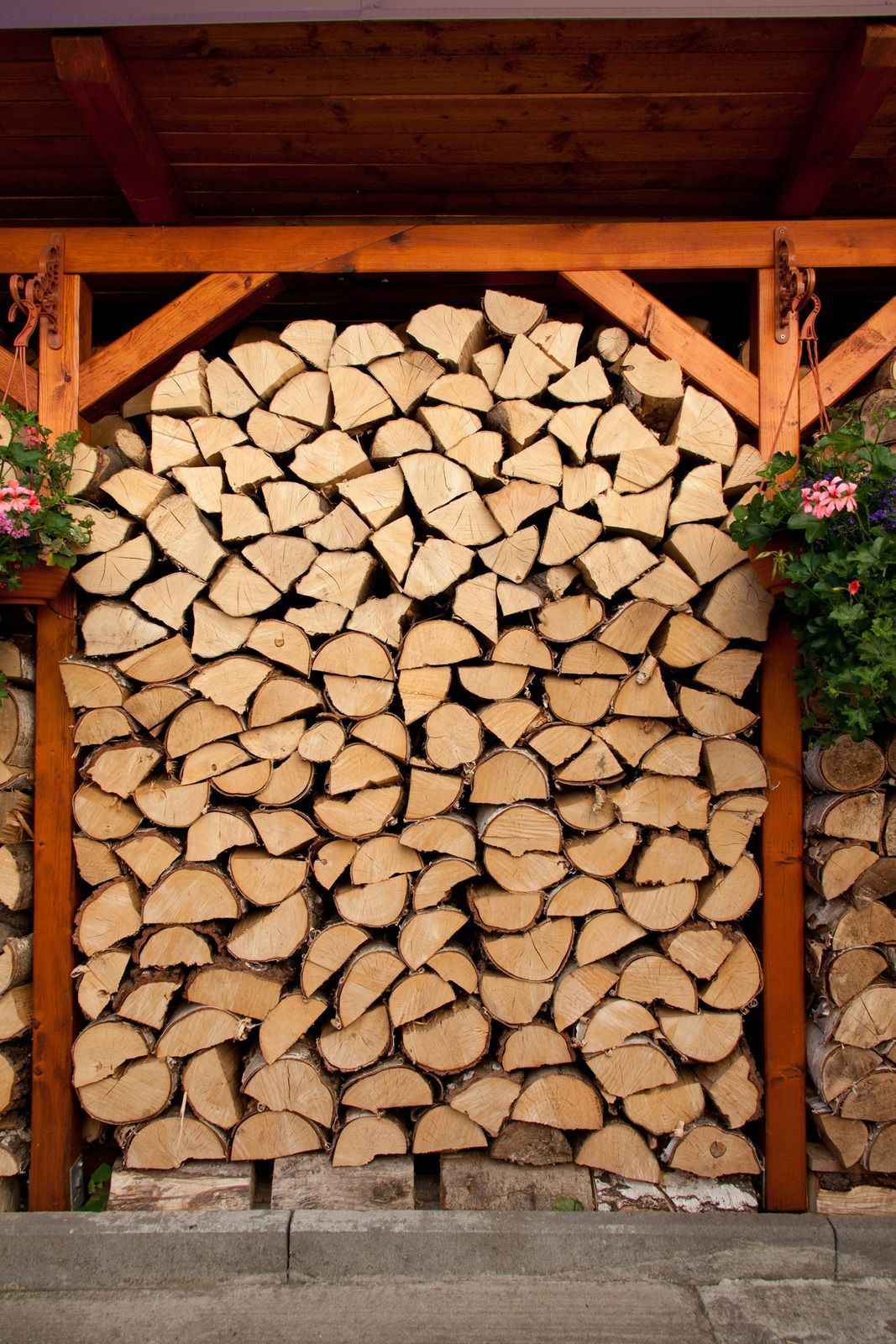 A large pile of logs is stacked on top of each other under a wooden structure.