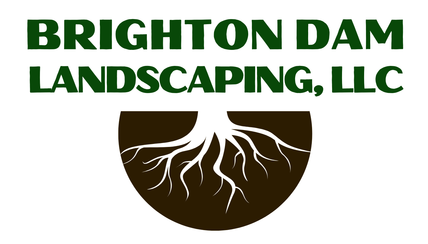 The logo for brighton dam landscaping llc shows a tree with roots in a circle.