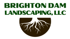 The logo for brighton dam landscaping llc shows a tree with roots in a circle.