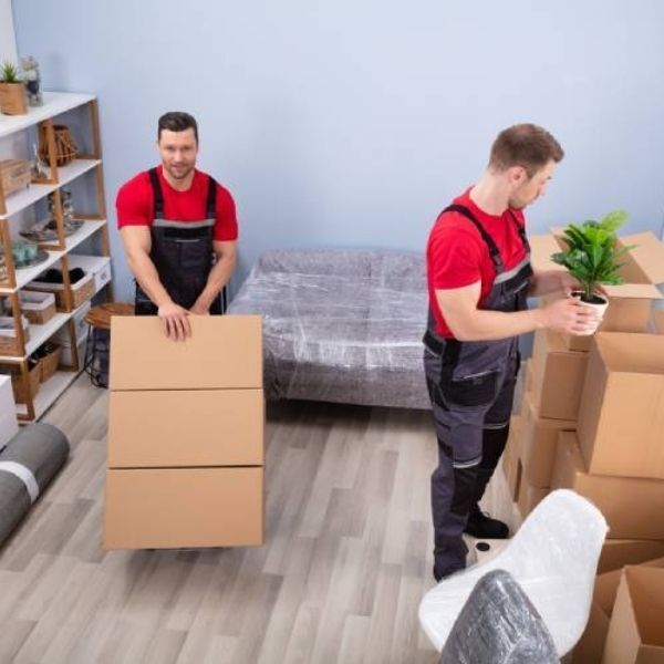 mudanzas-morales Empaque en cajas de enseres hogar y oficina