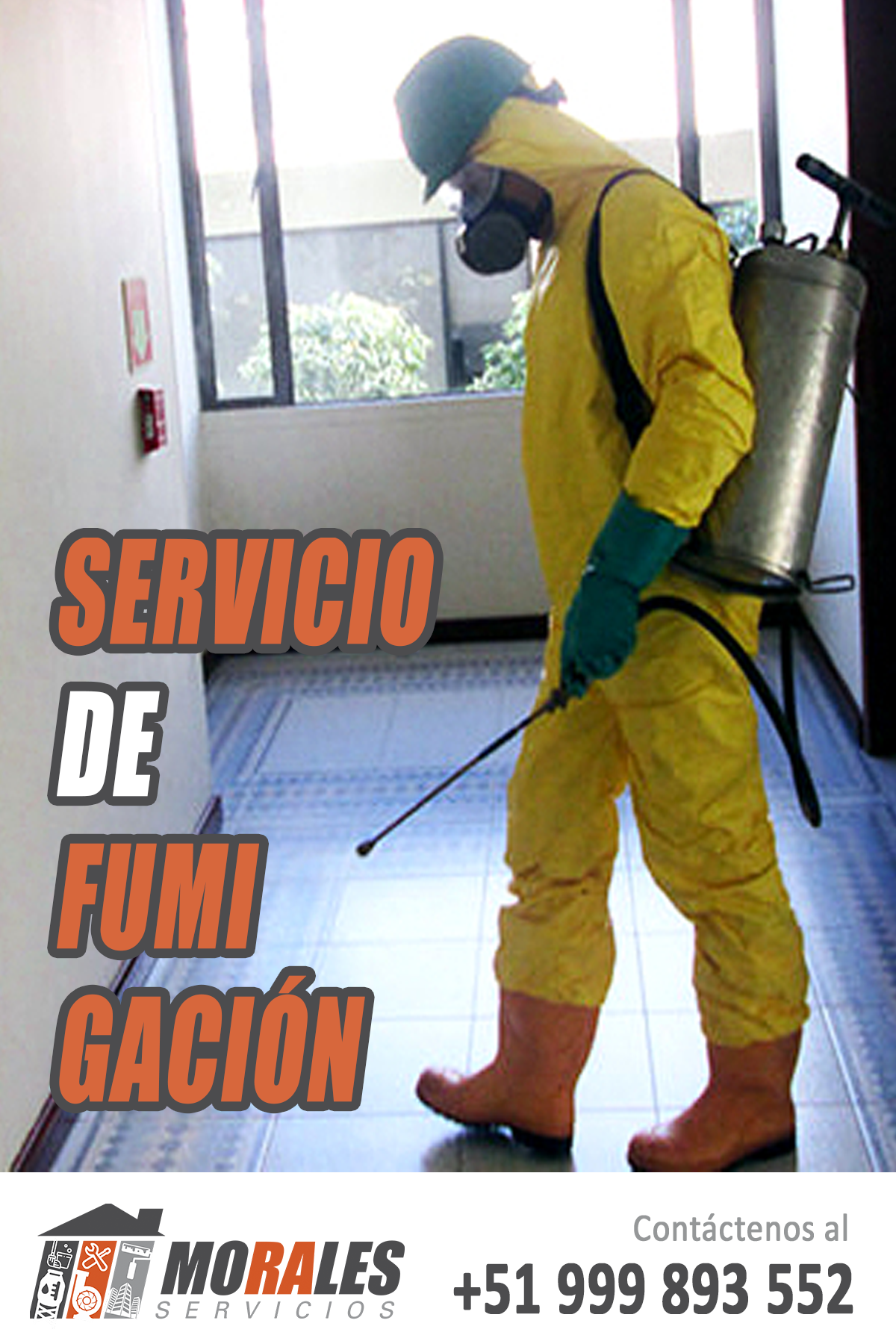morales servicios servicio de fumigacion