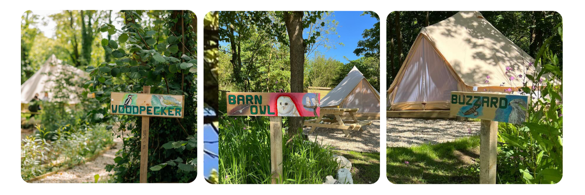 Three signs point the way to