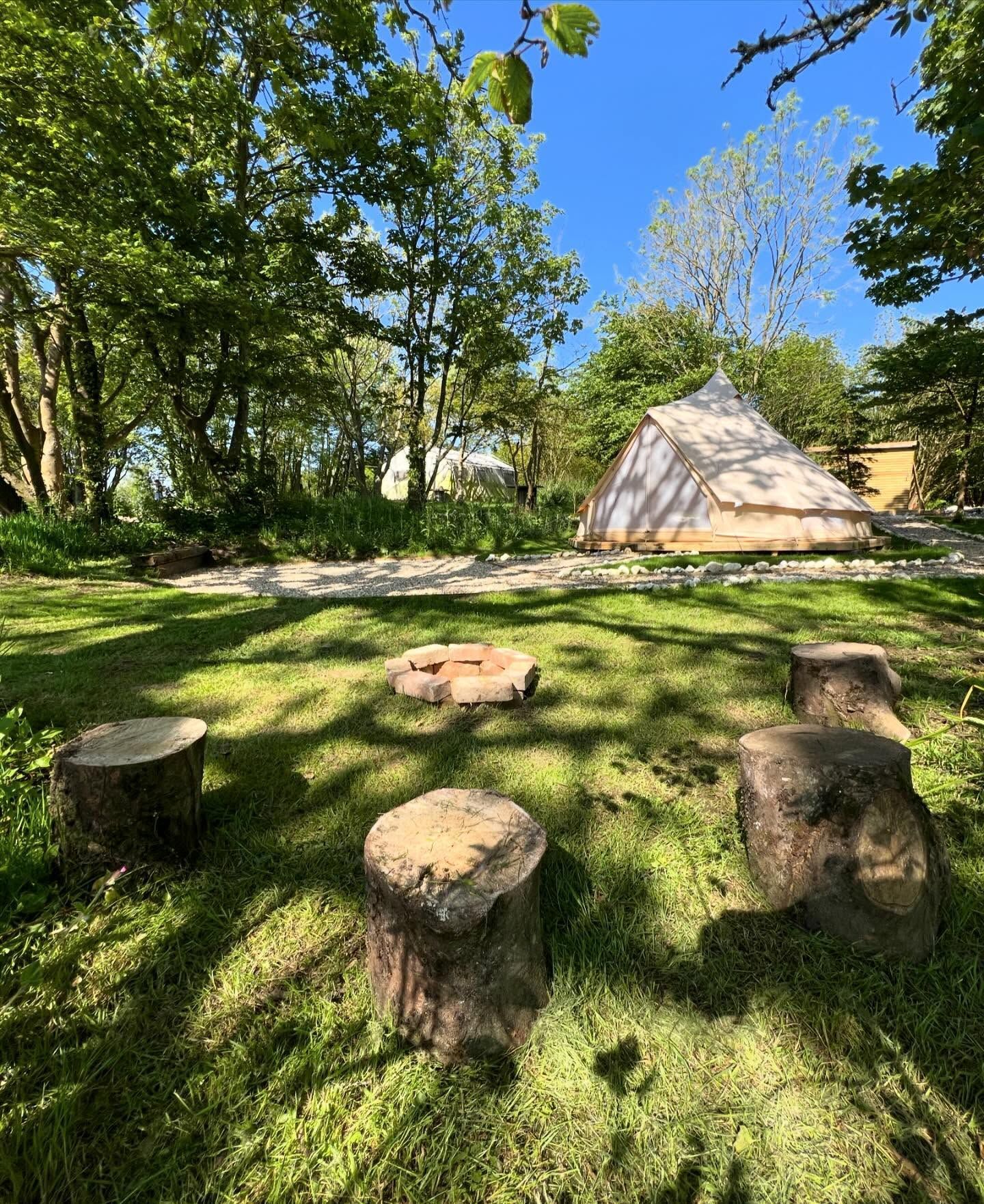 A glamping campsite with a tent, a fire pit, and stump seats surrounded by trees under a blue sky.