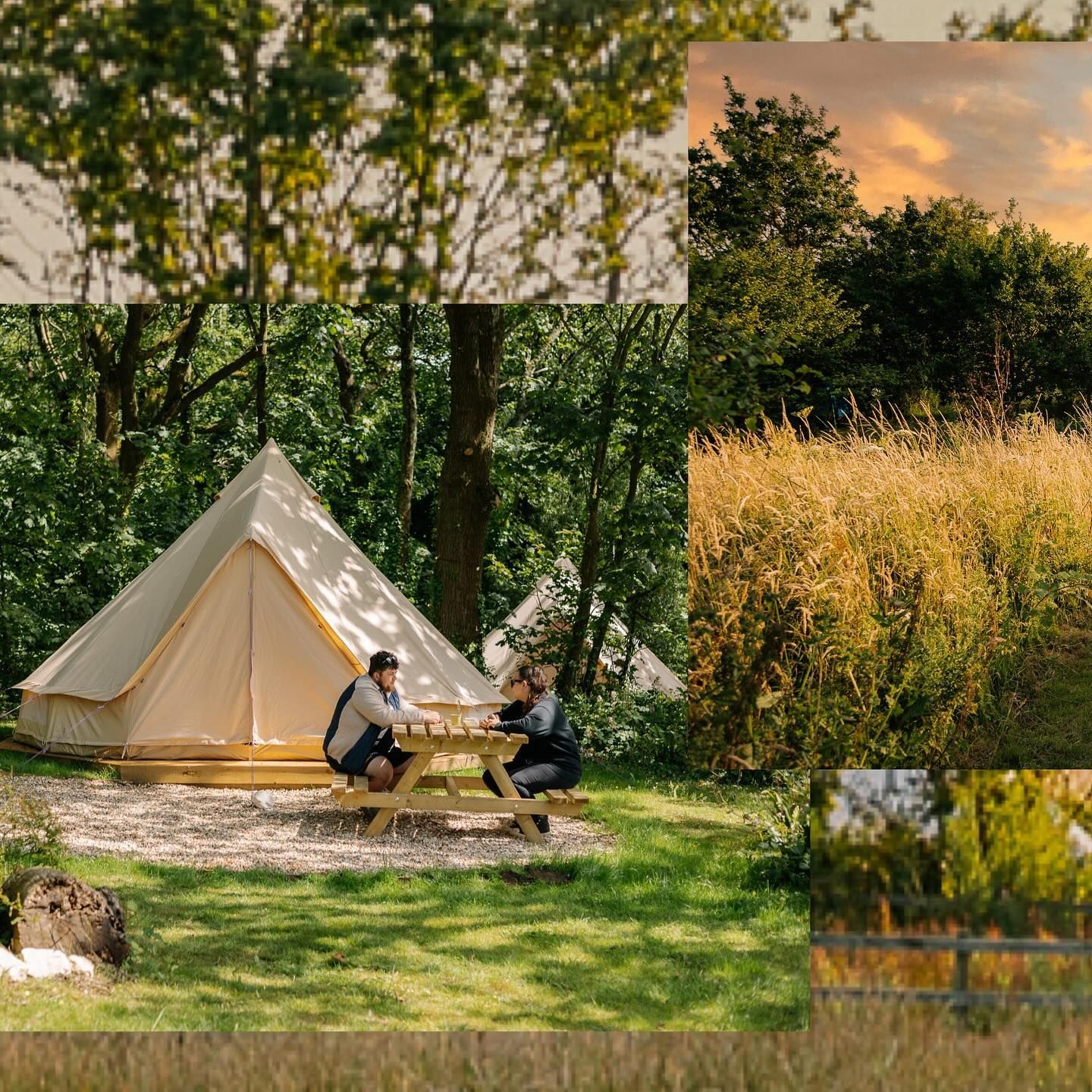 People sitting at picnic table near tent in a grassy campsite surrounded by trees.