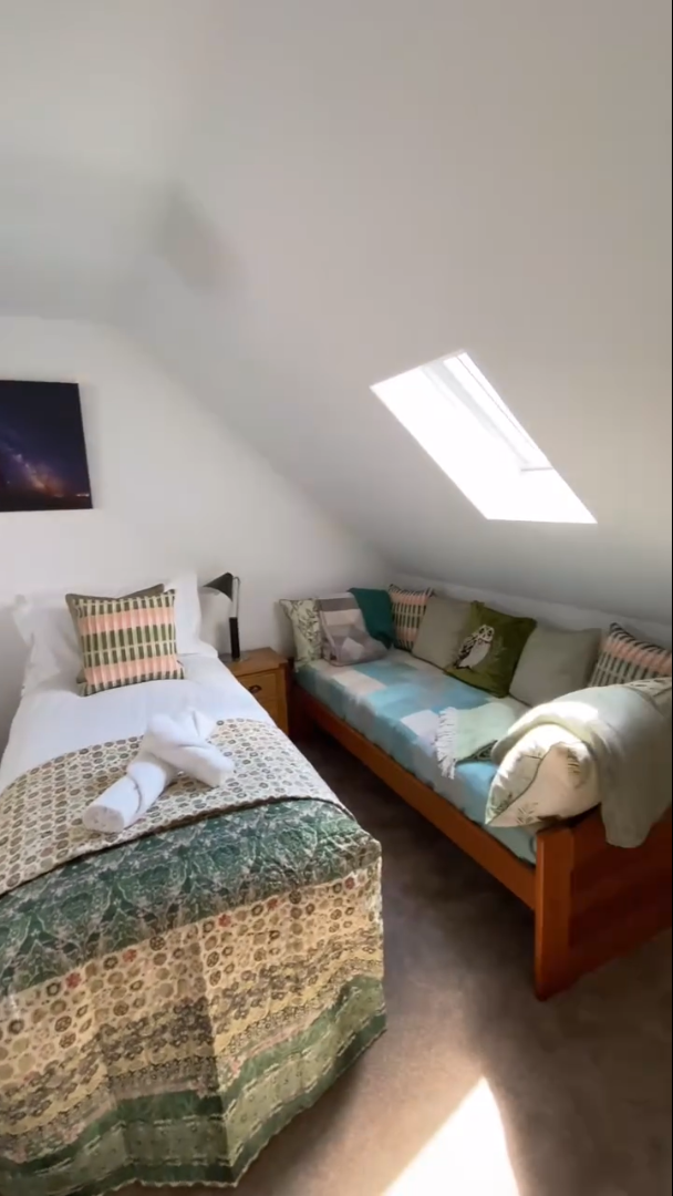 Bedroom with twin bed and daybed under a sloped ceiling with skylight.