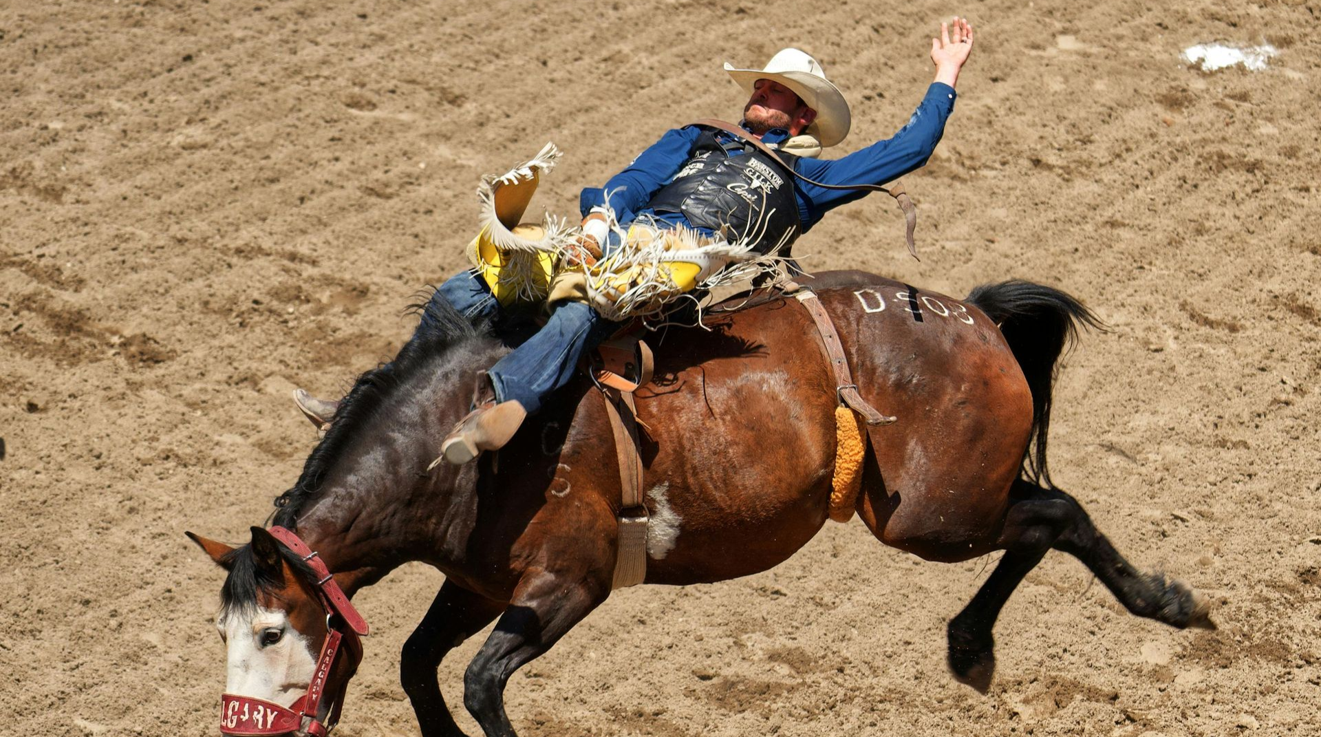 A rodeo rider in a hat and chaps grips a bucking brown horse in a dirt arena.