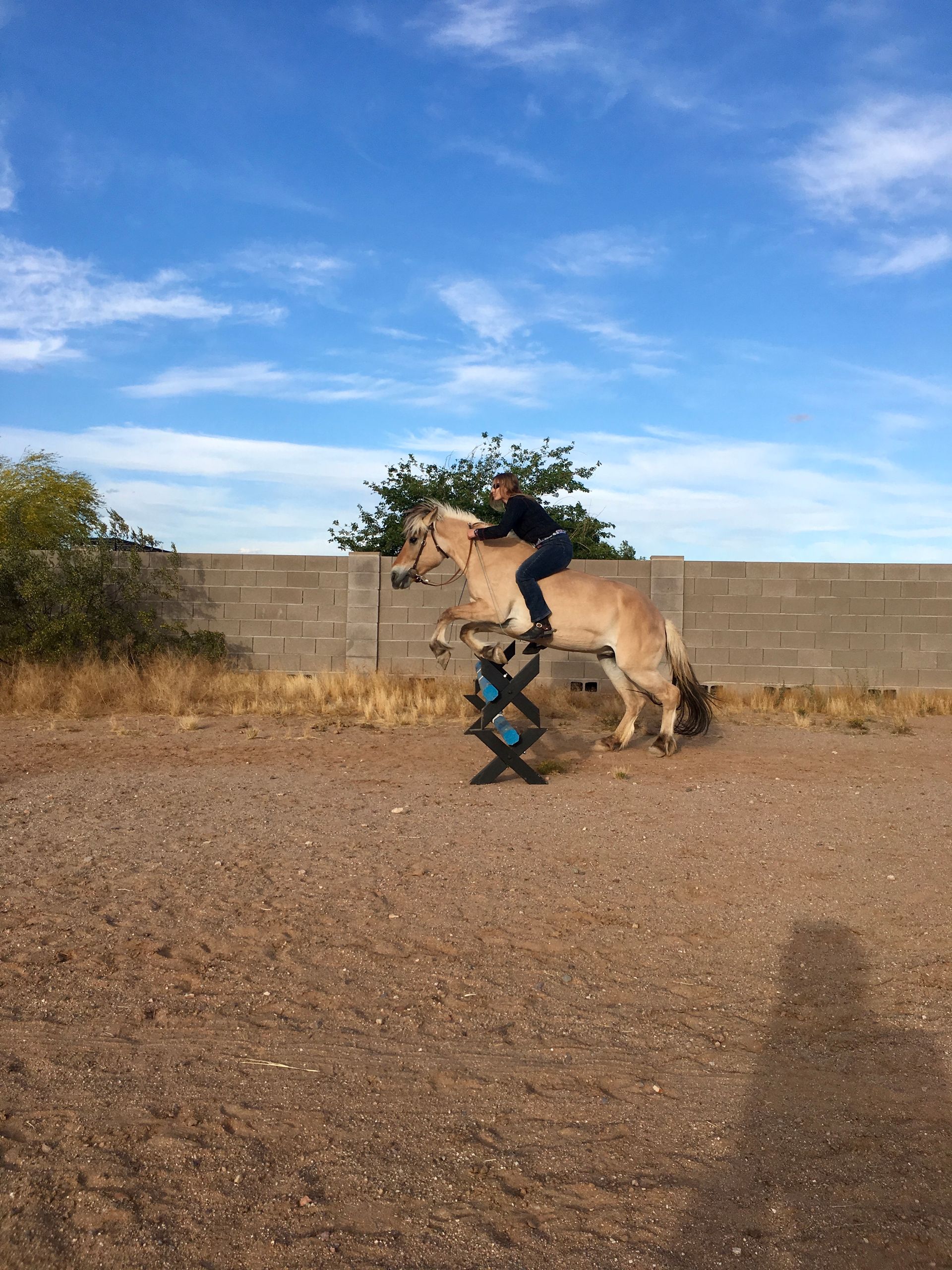 A person is riding a horse in a dirt field.
