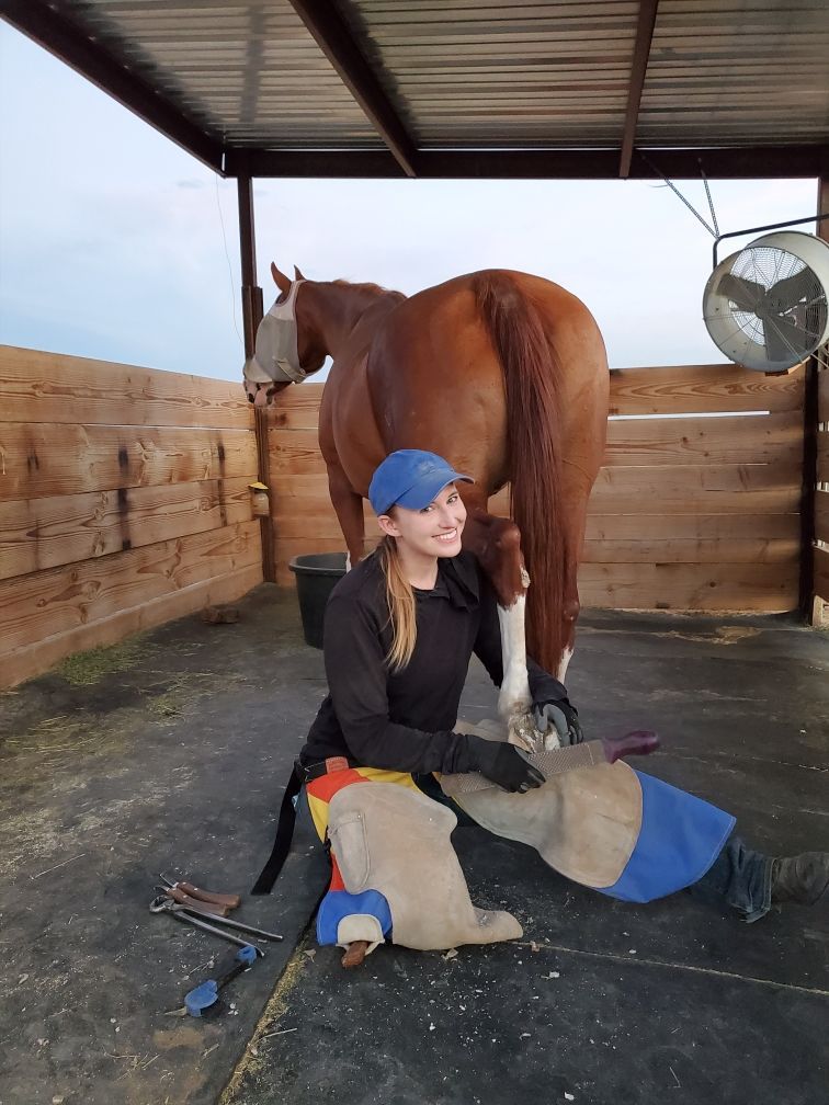 woman working on horse hoof